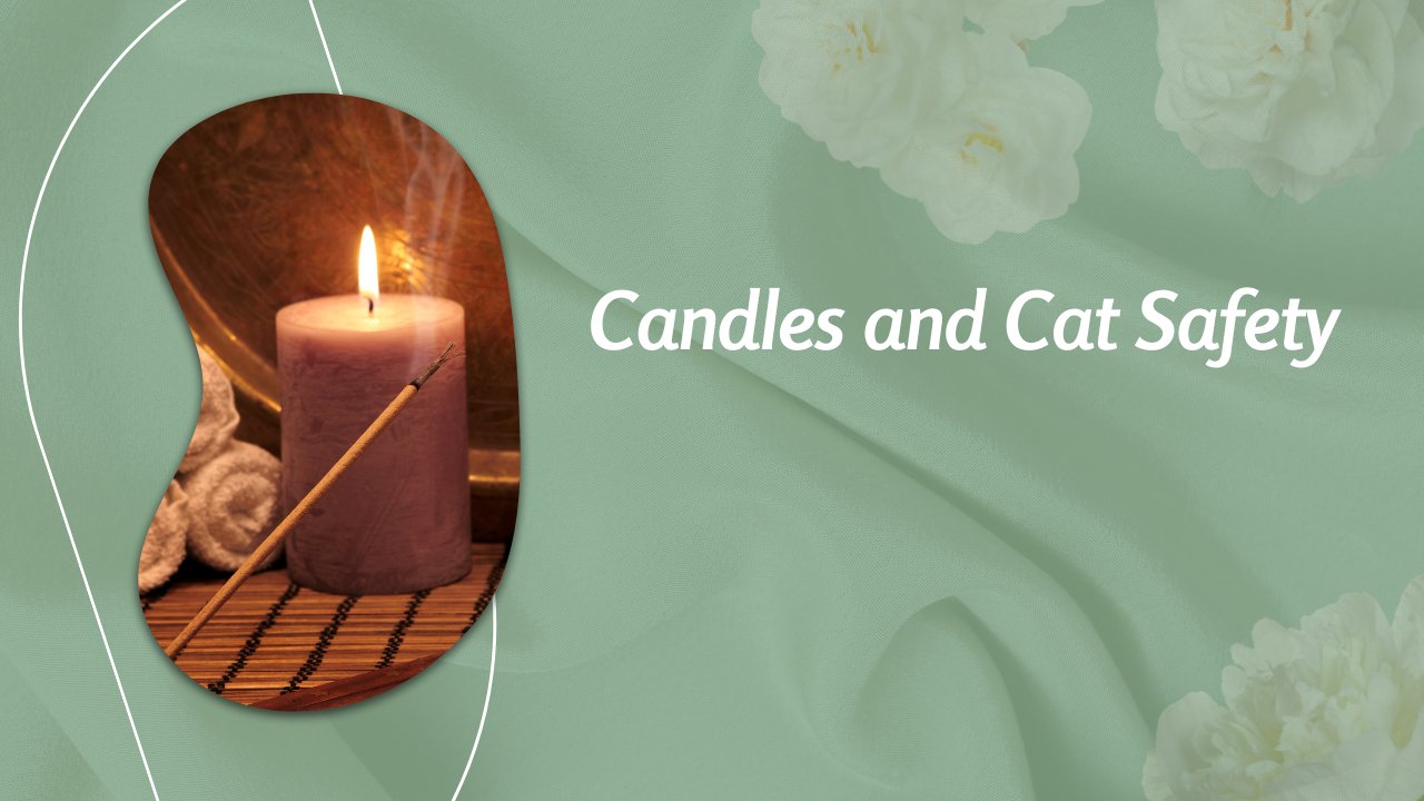 Are Scented Candles Bad for Cats? - Nothing But Scents