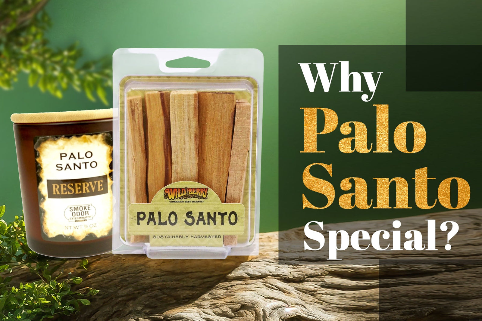 Why is Palo Santo Special?
