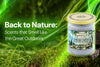 Back to Nature: Scents that Smell Like the Great Outdoors