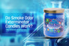 Do Smoke Odor Exterminator Candles Work? The Science of Enzymes