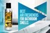 Best Air Fresheners for Bathroom Smells