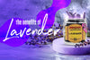 Scent Profile: The Benefits of Lavender