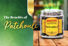 Scent Profile: The Benefits of Patchouli