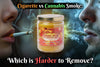 Cigarette vs Cannabis Smoke: Which is Harder to Remove?