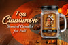 Top Cinnamon Scented Candles for Fall