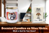 Scented Candles vs Wax Melts: Which is Best for Your Home?