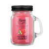 Red F*#kin' Melon Pop - Beamer Candle Co