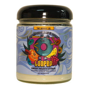 Looped - Modest and Co. Odor Fighting Candle