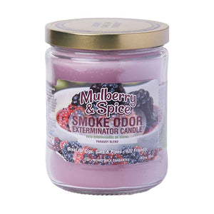 Mulberry and Spice Candle - Smoke Odor Exterminator