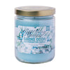 Sparkling Juniper Candle - Smoke Odor Exterminator