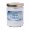 Winter Winds Candle - Smoke Odor Exterminator