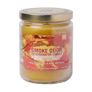 Fall'n Leaves Candle - Smoke Odor Exterminator