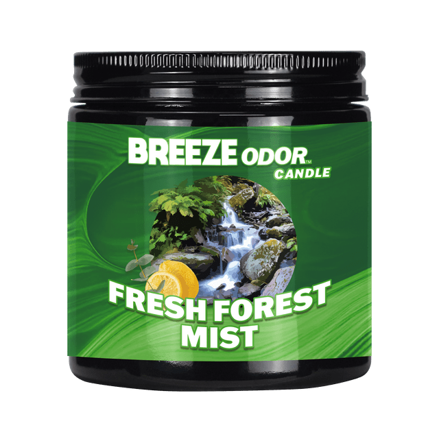 Fresh Forest Mist - Breeze Candle - Nothing But Scents