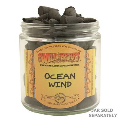 Ocean Wind Wild Berry Cones